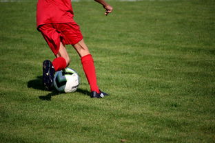 kaiyun官方入口登录-意甲裁判语义分析系统在比赛判罚中的应用研究，意甲裁判名单